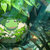anciental thumbnail