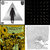 Kathyrn Jane Konink thumbnail