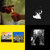 0800robin thumbnail