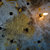 isadora_chadeaux thumbnail