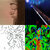 Robin Olden thumbnail