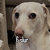 rhubarbx4 thumbnail