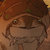 water_bear thumbnail