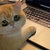 agata thumbnail