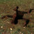 y0wei thumbnail