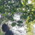 gabagoolproduct thumbnail