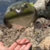 cyronax thumbnail