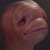 rawburrito thumbnail