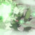 Parapass thumbnail